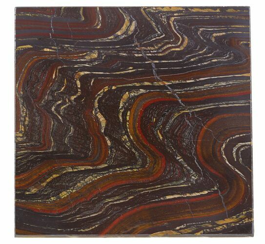 Tiger Iron Stromatolite Shower Tile - Billion Years Old #48803